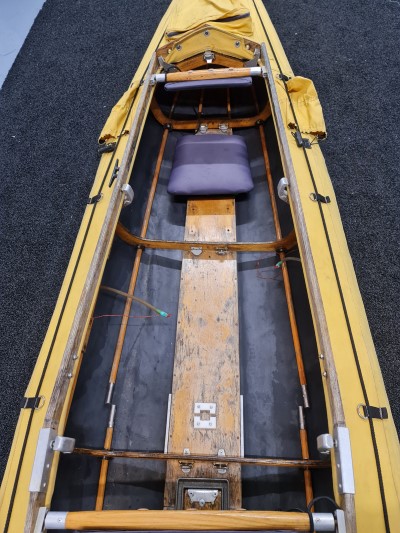 Wayland Amazon 520 Expedition - view of cockpit